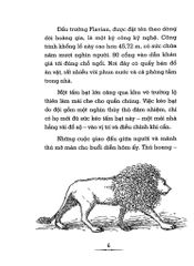 Đấu Trường La Mã Ở Đâu - Jim O'Connor, John O'Brien