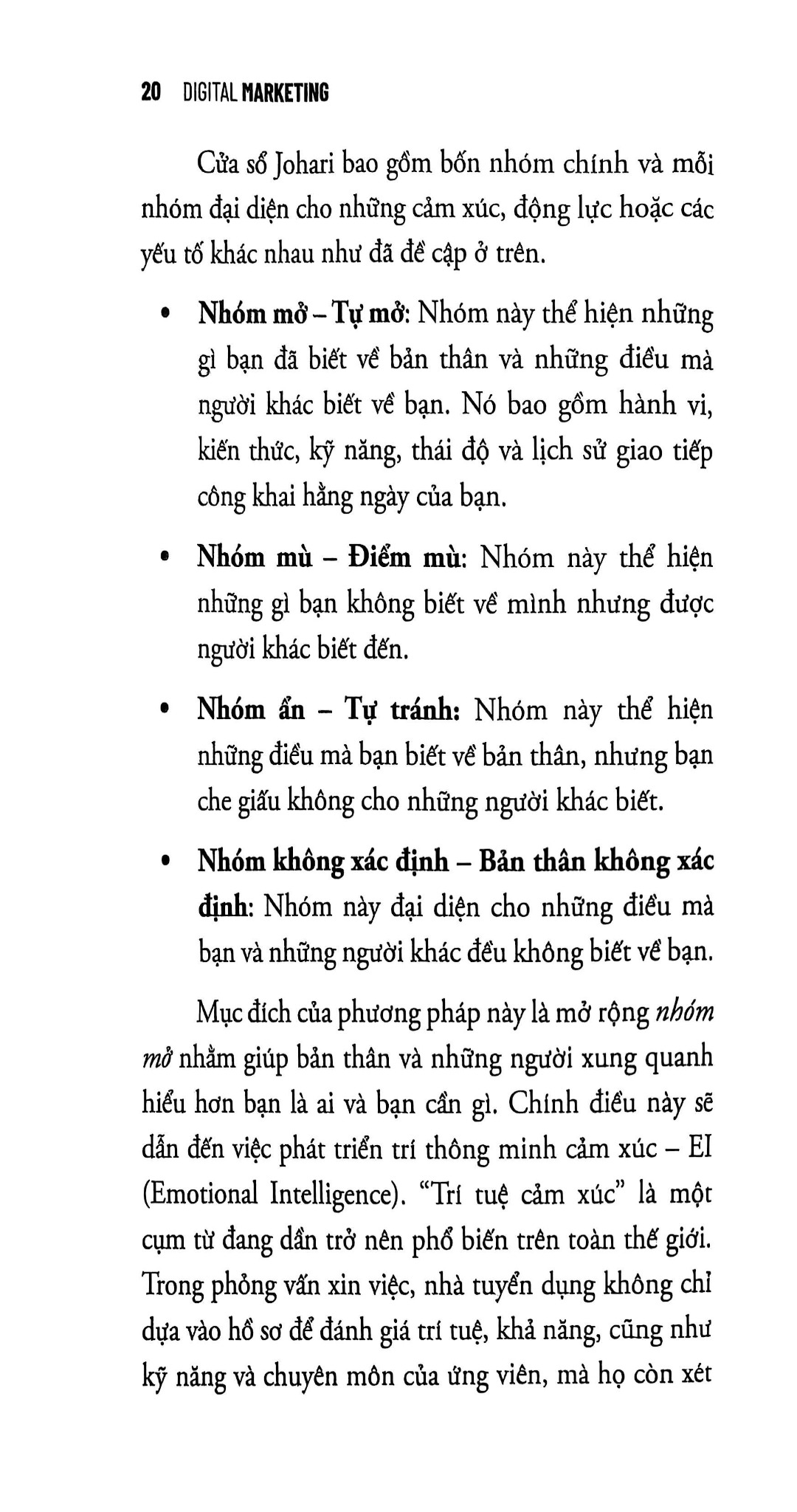 Digital Marketing - Trên Thông Marketing, Dưới Tường Công Cụ Số - Nguyễn Hồng Ly