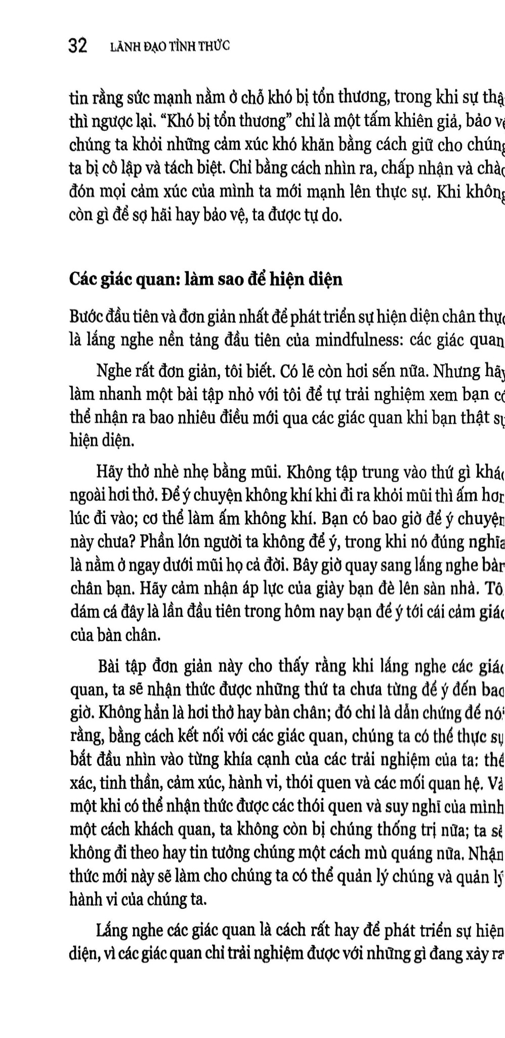 Lãnh Đạo Tỉnh Thức - The Mindful Leader - Michael Bunting
