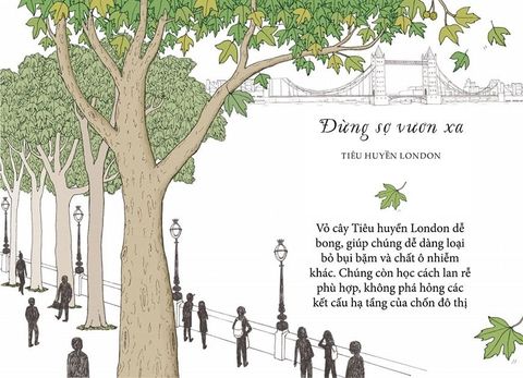  Sống Như Những Cái Cây - Những Bài Học Nhỏ Để Có Nguồn Hạnh Phúc Bất Tận - Liz Marvin, Annie Davidson 