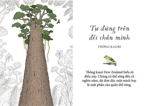  Sống Như Những Cái Cây - Những Bài Học Nhỏ Để Có Nguồn Hạnh Phúc Bất Tận - Liz Marvin, Annie Davidson 