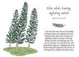  Sống Như Những Cái Cây - Những Bài Học Nhỏ Để Có Nguồn Hạnh Phúc Bất Tận - Liz Marvin, Annie Davidson 