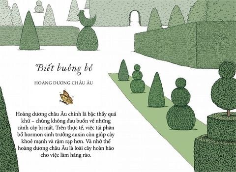  Sống Như Những Cái Cây - Những Bài Học Nhỏ Để Có Nguồn Hạnh Phúc Bất Tận - Liz Marvin, Annie Davidson 
