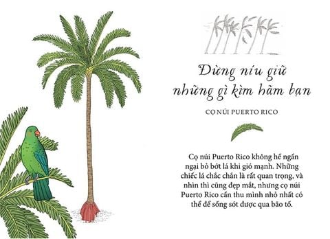  Sống Như Những Cái Cây - Những Bài Học Nhỏ Để Có Nguồn Hạnh Phúc Bất Tận - Liz Marvin, Annie Davidson 