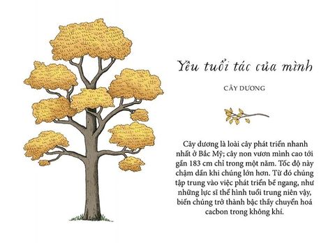  Sống Như Những Cái Cây - Những Bài Học Nhỏ Để Có Nguồn Hạnh Phúc Bất Tận - Liz Marvin, Annie Davidson 