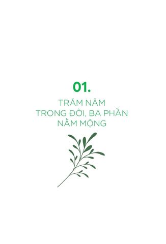  Tôi Tỉnh Thức - Sống Cuộc Đời Ý Nghĩa Với Trái Tim Rung Động Và Lòng Biết Ơn - Rim Nguyễn 