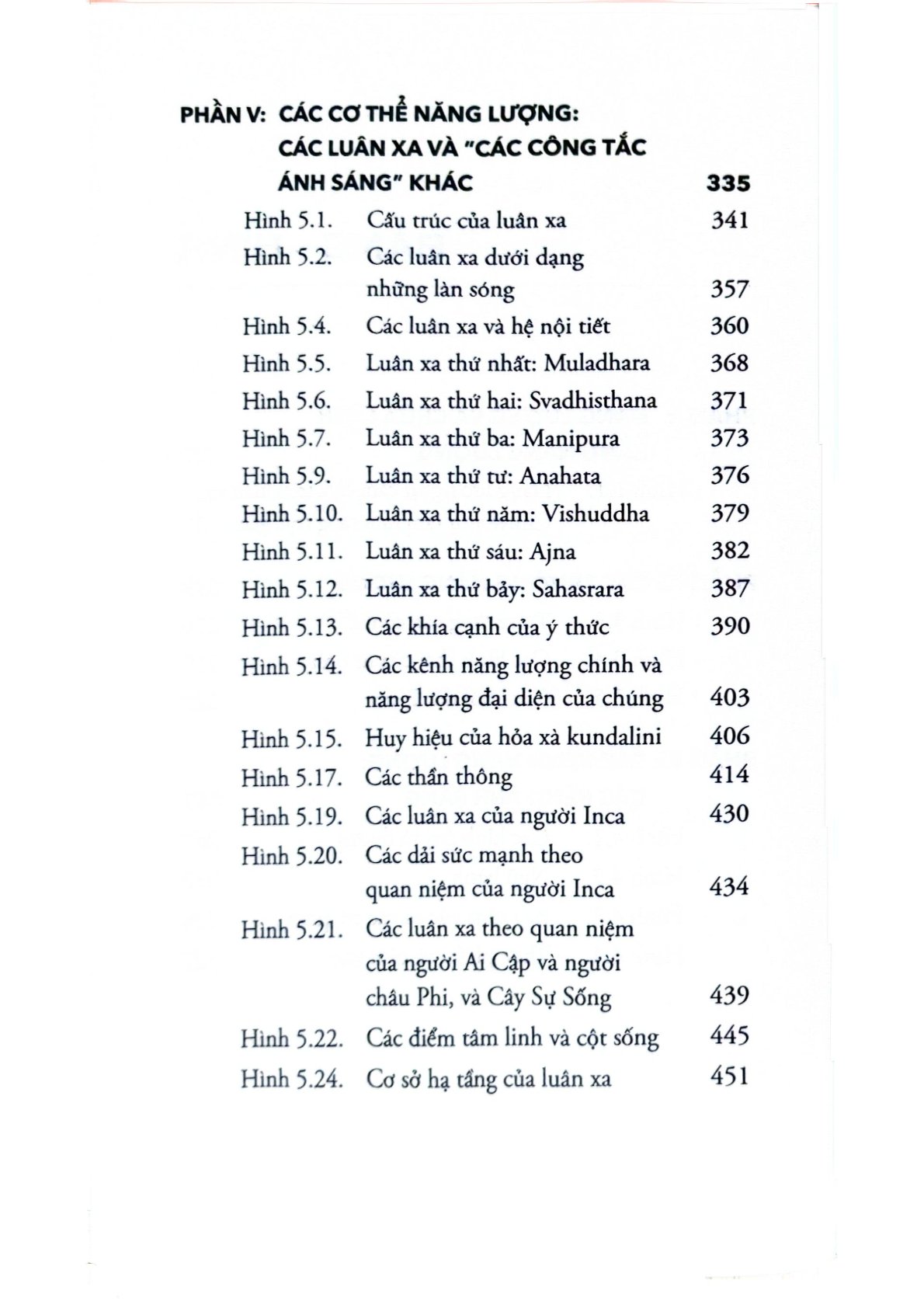 The Subtle Body - Bách Khoa Thư Về Giải Phẫu Năng Lượng - Cyndi Dale