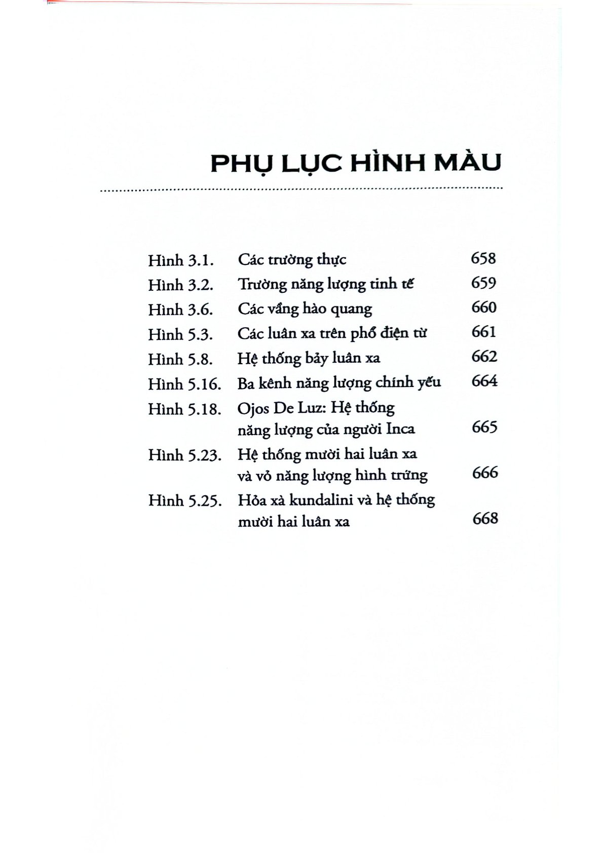The Subtle Body - Bách Khoa Thư Về Giải Phẫu Năng Lượng - Cyndi Dale