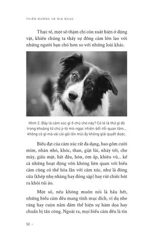  Thiên Đường Và Địa Ngục - Tâm Lý Học Về 26 Loại Cảm Xúc - Neel Burton 