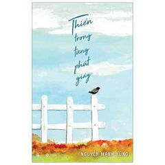 Thiền Trong Từng Phút Giây - Nguyễn Mạnh Hùng