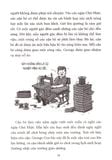  Thời Thơ Ấu Của Các Huyền Thoại Thể Thao - Chuyện Thật Chưa Kể - David Stabler, Doogie Horner 