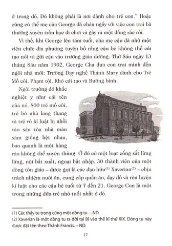  Thời Thơ Ấu Của Các Huyền Thoại Thể Thao - Chuyện Thật Chưa Kể - David Stabler, Doogie Horner 