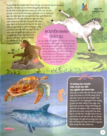  Lược Sử Sự Sống Bằng Hình - Tiến Hóa Diệu Kì - Anne Rooney, Natalie Hughes 