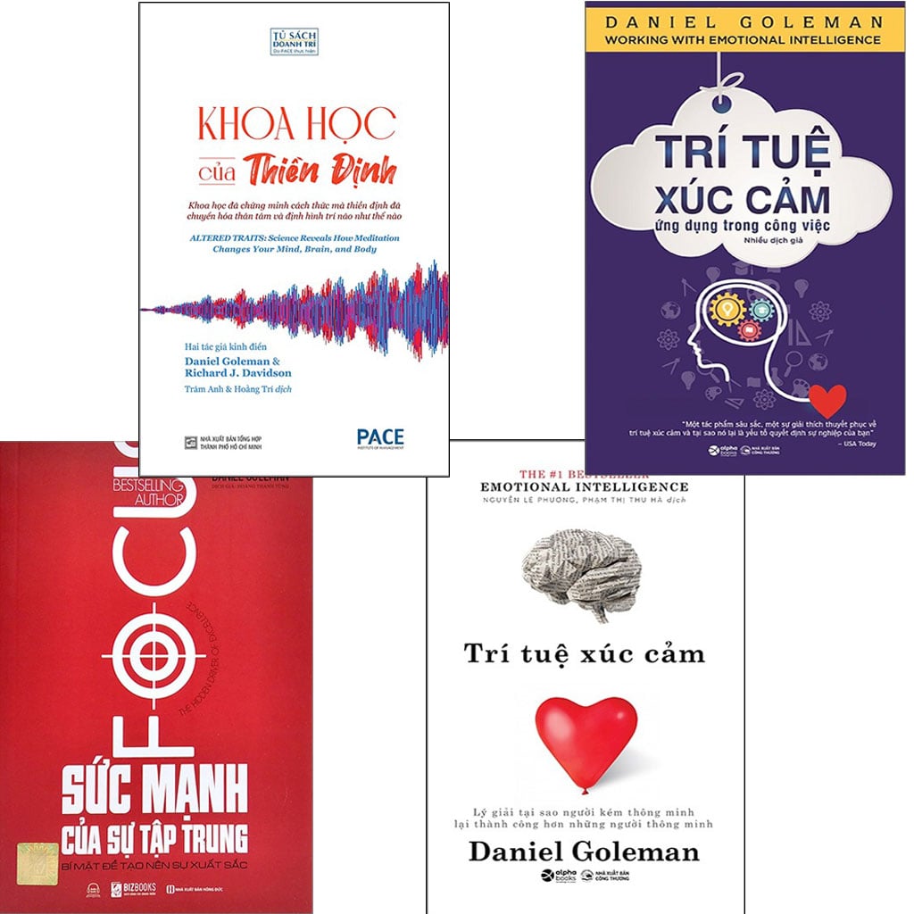Trọn Bộ 4 Quyển Của Daniel Goleman Về Thiền và Trí Tuệ Xúc Cảm