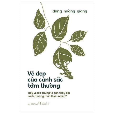  Combo 2 Quyển: Vẻ Đẹp Của Cảnh Sắc Tầm Thường + NEXUS - Lược Sử Của Những Mạng Lưới Thông Tin Từ Thời Đại Đồ Đá Đến Trí Tuệ Nhân Tạo 