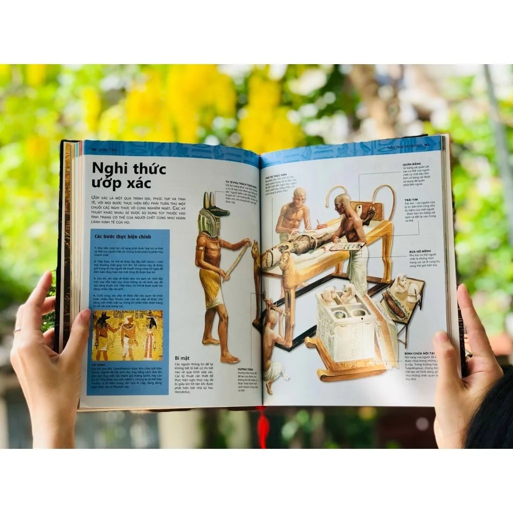 Ai Cập Cổ Đại - Ancient Egypt - Nhiều Tác Giả