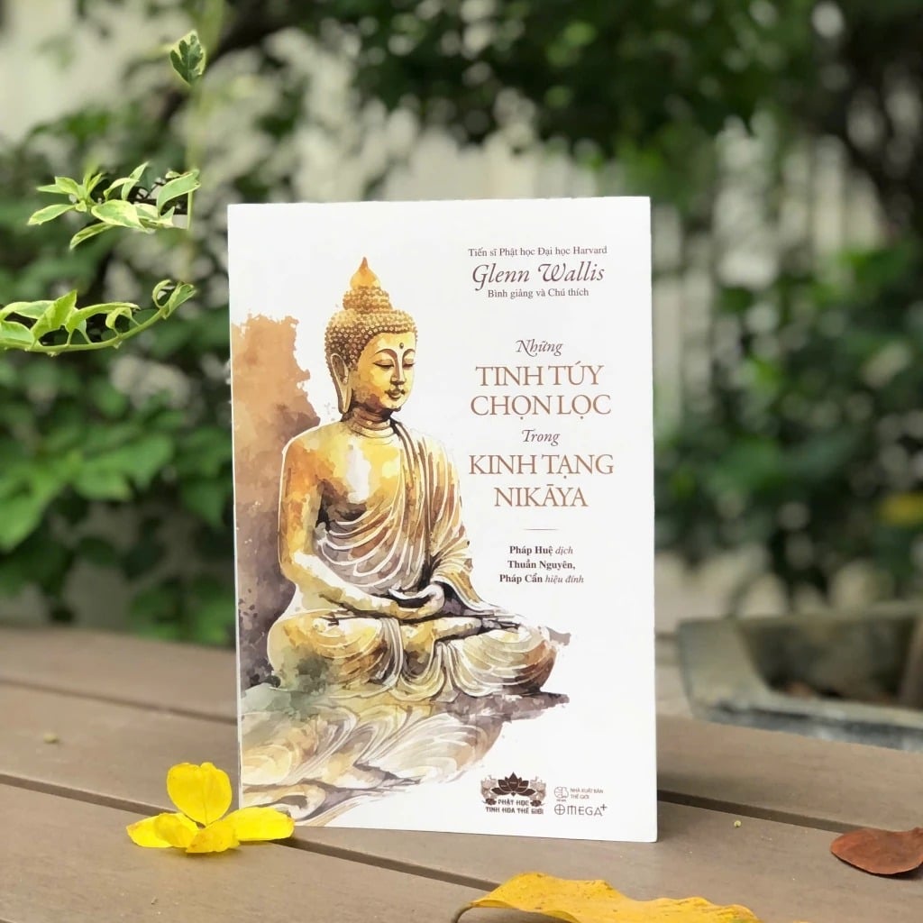 Những Tinh Túy Chọn Lọc Trong Kinh Tạng Nikāya - 
Glenn Wallis