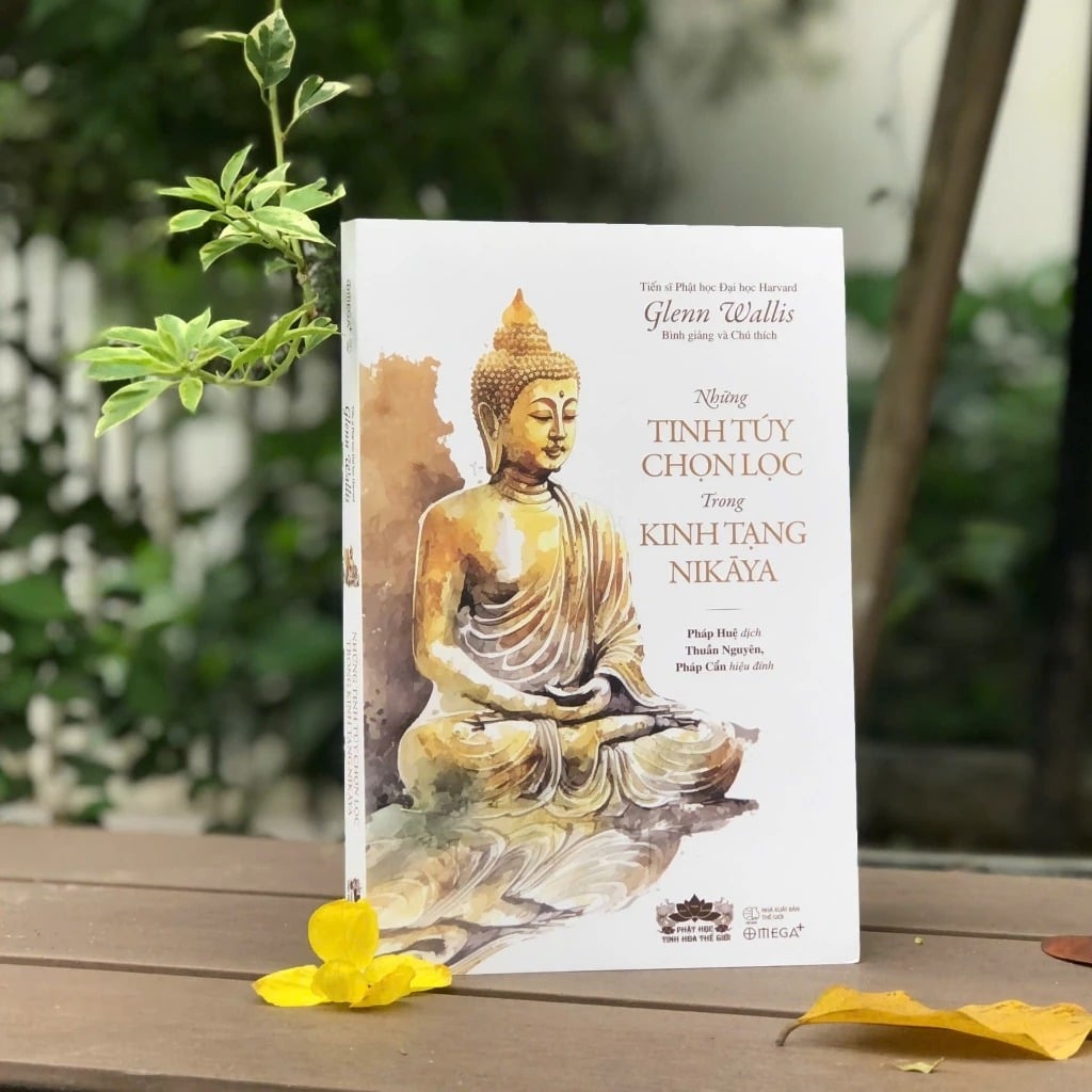 Những Tinh Túy Chọn Lọc Trong Kinh Tạng Nikāya - 
Glenn Wallis