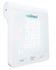 Combo Máy đo đường huyết - mỡ máu - gút BeneCheck & Máy đo huyết áp Wellmed FDBP-A4