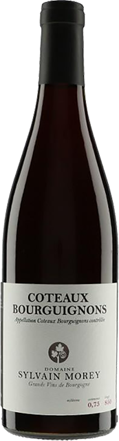 Domaine Sylvain Morey, Coteaux Bourguignon 2022