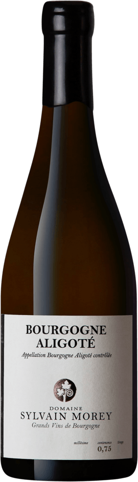Domaine Sylvain Morey, Bourgogne Aligote 2022