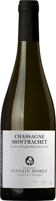 Domaine Sylvain Morey, Chassagne Montrachet