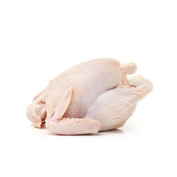  Gà ta thảo mộc nguyên con 