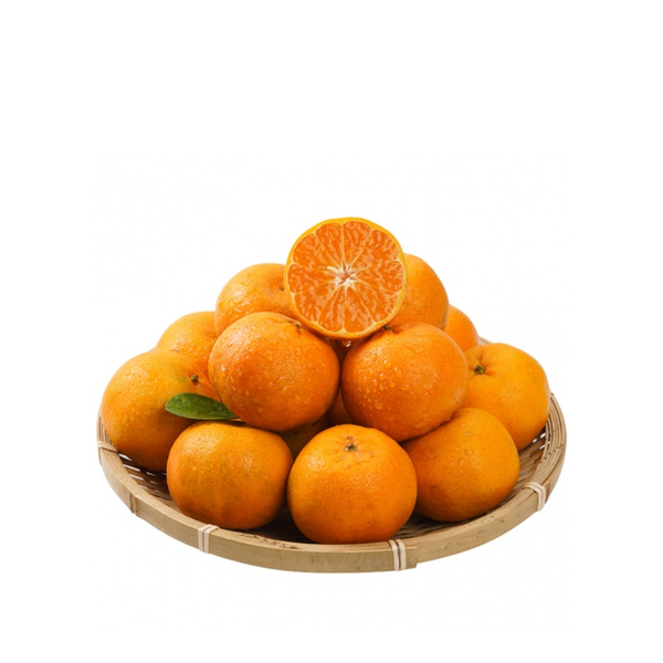  Quýt hồng 