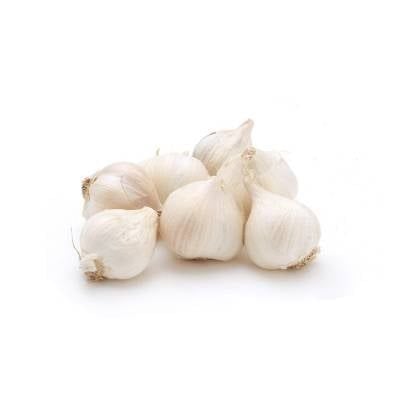 Tỏi hữu cơ