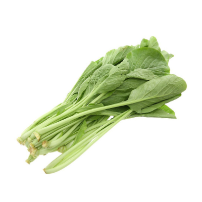  Cải ngọt hữu cơ - CU841314 