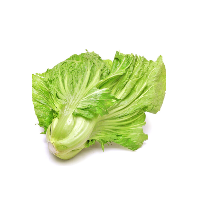  Rau cải bẹ 