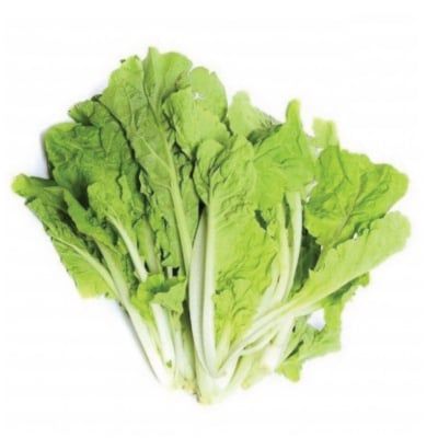 Cải nhún hữu cơ