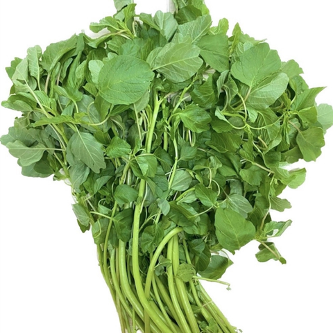  Rau dền cơm hữu cơ 