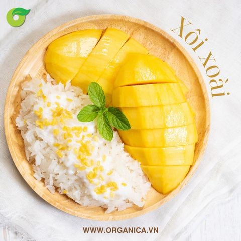  Xoài tứ quý 