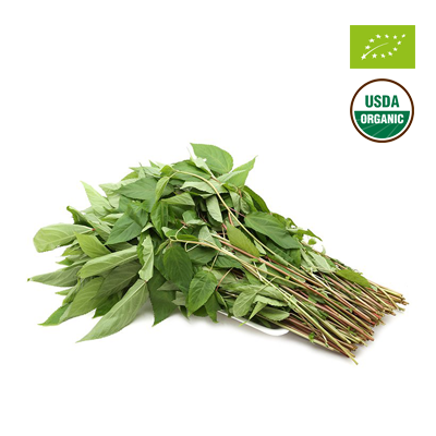 Rau đay hữu cơ - CU841314 