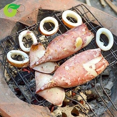  Mực ống 