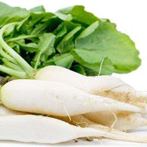  Củ cải trắng 