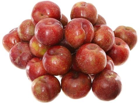  Mận hậu Sơn La 