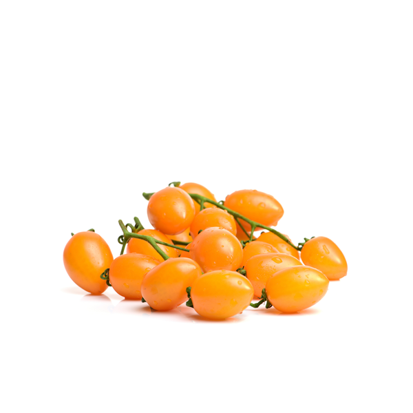  Cà chua bi cherry vàng 
