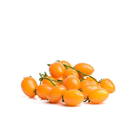  Cà chua bi cherry vàng 