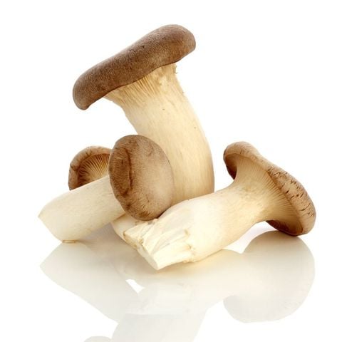  Nấm đùi gà hữu cơ 500gr 