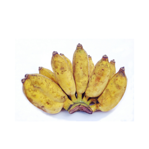  Chuối xiêm 