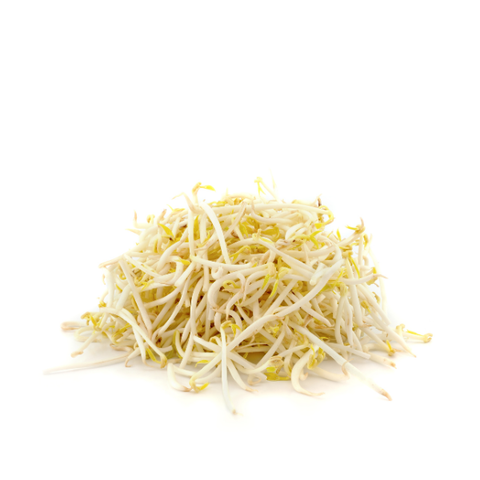  Giá đỗ 