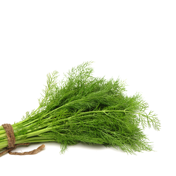  Thì là hữu cơ 