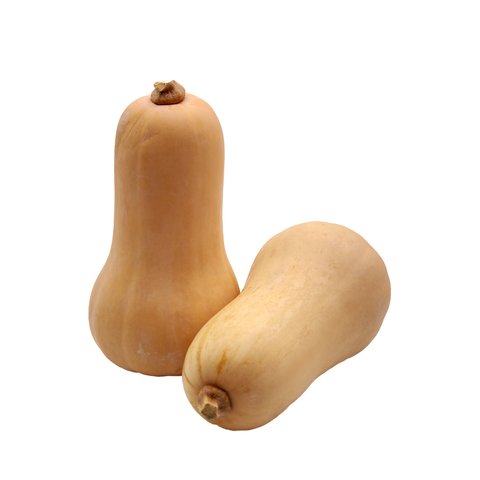  Bí đỏ hữu cơ 