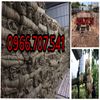 gia-ban-bao-tai-day-bao-duong-be-tong