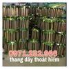 thang-day-thoat-hiem-nha-cao-tang