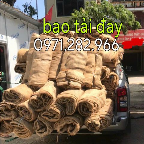 Bao tải quấn bầu cây công trình