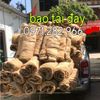 bao-tai-quan-bau-cay-cong-trinh