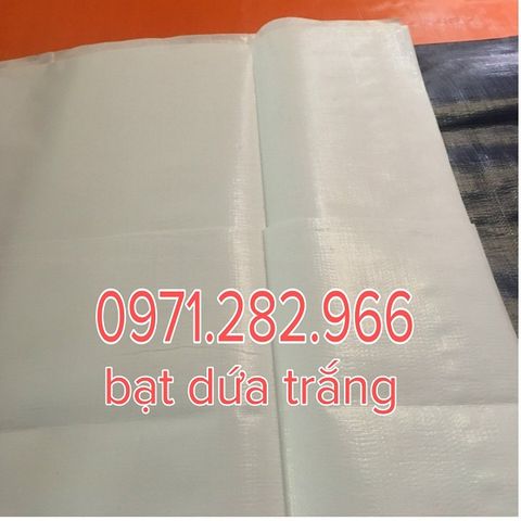 Bạt dứa màu trắng